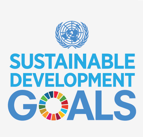 sdg logo