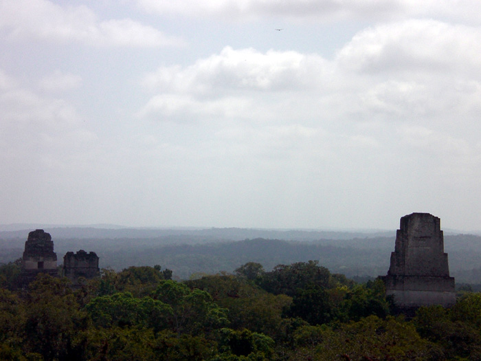 File:Tikal.JPG