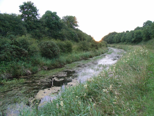 File:Royal Canal at Baltrasna, east of Mullingar, Co. Westmeath - geograph.org.uk - 1406208.jpg