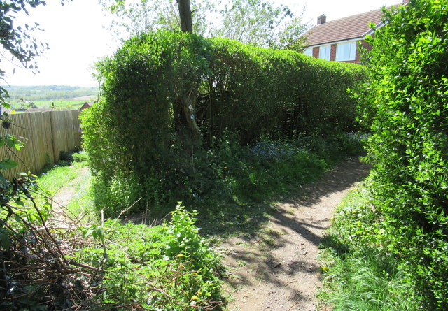 File:Junction in Bridleway Rear of Old Birmingham Road - geograph.org.uk - 6448007.jpg