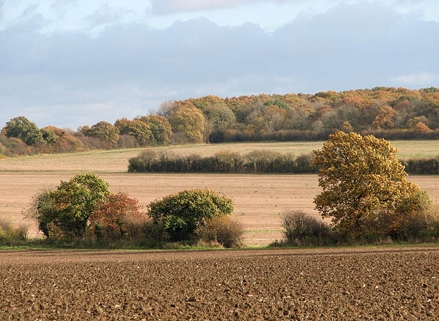 File:A blustery November day - geograph.org.uk - 1041548.jpg