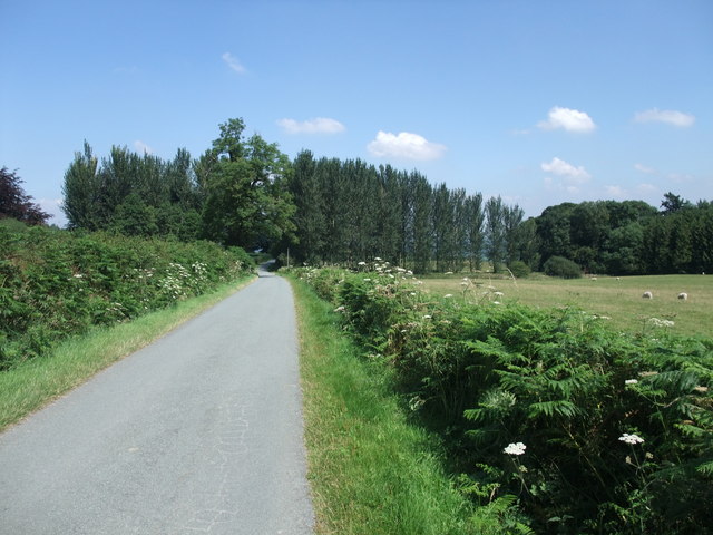 File:Offas Dyke Path near Tyn-y-groes - geograph.org.uk - 914048.jpg