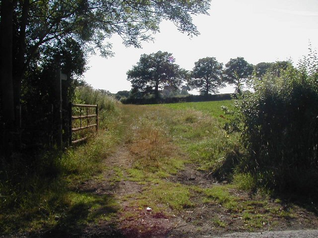 File:Footpath - geograph.org.uk - 203997.jpg