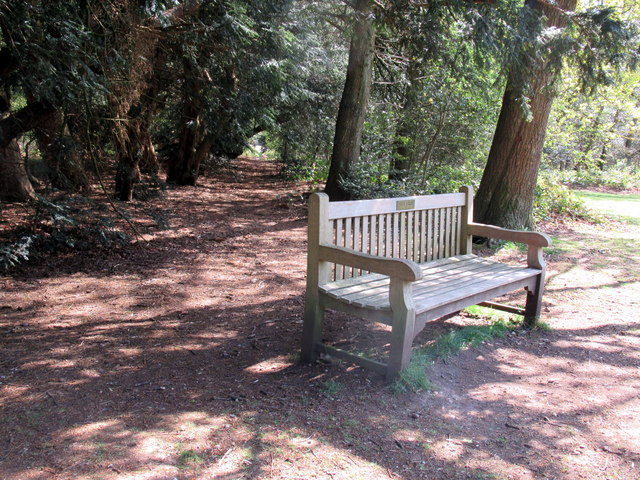 File:Bench by The Monument and path to Old Birmingham Road Lickey - geograph.org.uk - 6449032.jpg