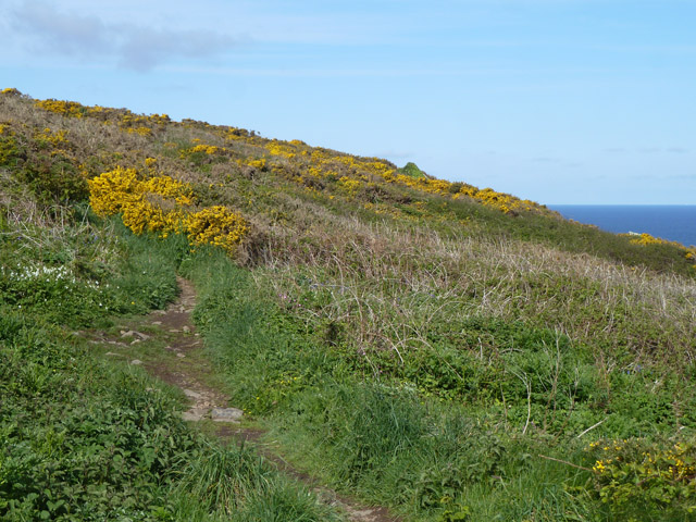 File:Coastal path, Hellesveor Cliff - geograph.org.uk - 5736111.jpg