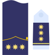 Divisa coronel Ejército del Aire.