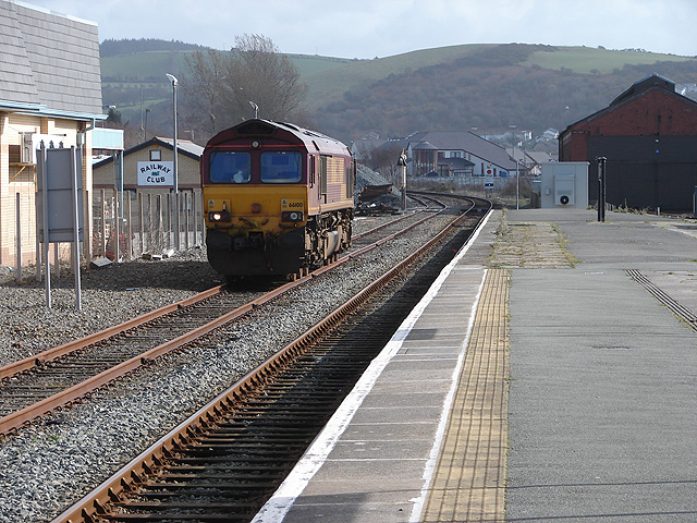 File:A rare visitor - geograph.org.uk - 722828.jpg