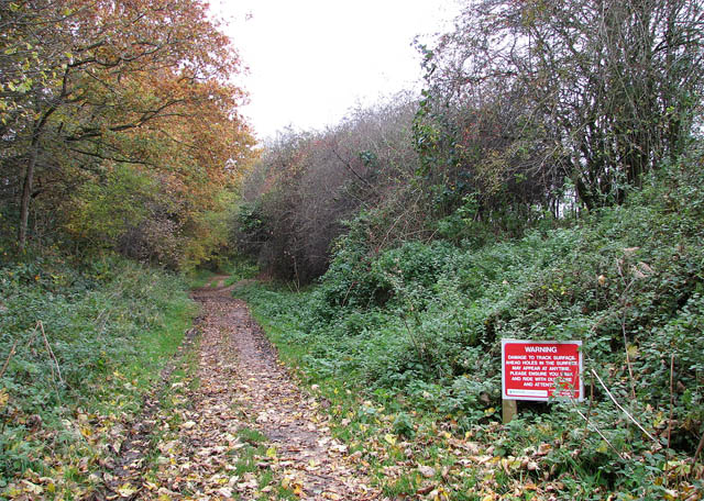 File:Approaching New Plantation - geograph.org.uk - 1042846.jpg