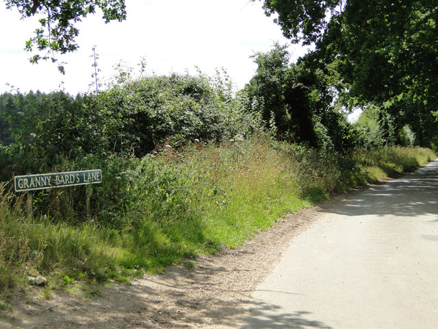 File:Granny Bard's Lane, Crostwick - geograph.org.uk - 4557702.jpg