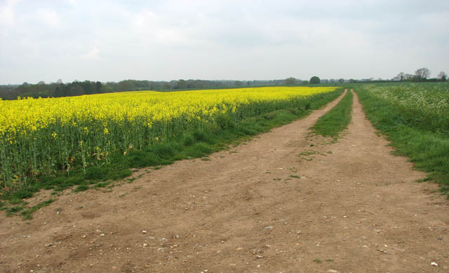 File:Farmtrack leading west - geograph.org.uk - 1276079.jpg