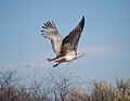 near Windhoek, Namibia