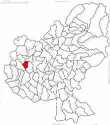 Location in Mureș County