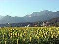 English: St. Peter/Šentpeter near St. Jakob im Rosental (with the Karawanken in the background Deutsch: Sankt Peter bei Sankt Jakob