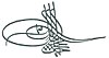 Tughra of Ahmed III