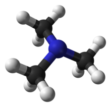 Trimethylamine-3D-balls.png