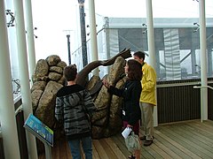 Artwork at the aquarium.