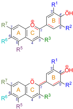 Grundstruktur der Anthocyane: das Flavyliumkation