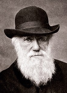 Monochrome photo of Charles Darwin, he appears to be an older middle aged man with a neutral expression, light skin, wrinkles under his deep set but fairly wide open eyes, and a chest length white beard extending up to his temples. He is wearing a hat with a rounded top, a medium width brim and a cloth band, his shoulders which are the only part of his body beyond head in frame seem are covered by a dark, apparently black, top of unclear cut. The background behind him is non-descript, possibly a plaster wall