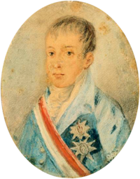 Painting showing the head and shoulders of a boy wearing a high collar and a coat adorned with medals and a striped sash of office