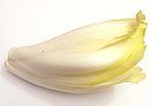 L'endive, production du Nord-Pas-de-Calais