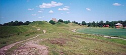 Grafheuvels van Gamla Uppsala