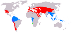 Distribuição natural, por género: verde – Welwitschia azul – Gnetum vermelho – Ephedra púrpura – Gnetum e Ephedra