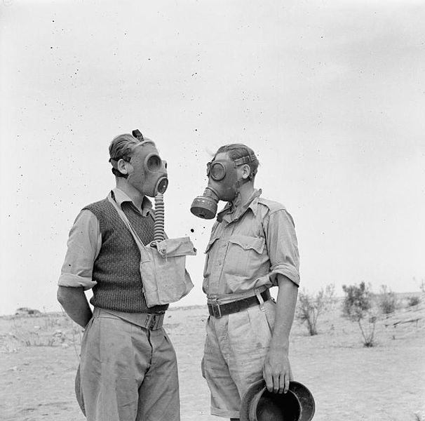 File:The British Army in North Africa E3096.jpg