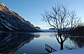 Bohinjsko jezero