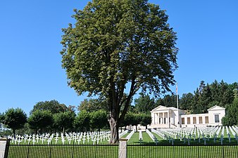 Cimetière américain.