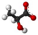 Ball-and-stick model of the lactate anion