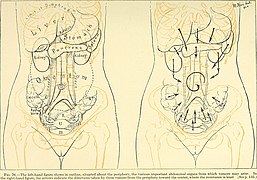 Operative gynecology - (1906) (14781129944).jpg