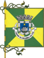 Bandeira de Figueira da Foz