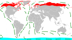 Havternens udbredelse og trækmønster. Blå = vinterkvarterer. Rød = Sommerkvarterer. Grøn = Trækruter