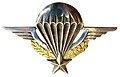 Brevet parachutiste de l'armée française.