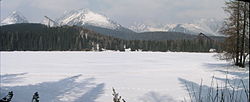 Štrbské pleso im Winter