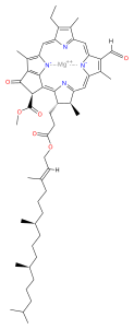 Struttura della clorofilla d