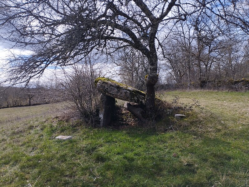 File:Dolmen Pierre Levée 10.jpg