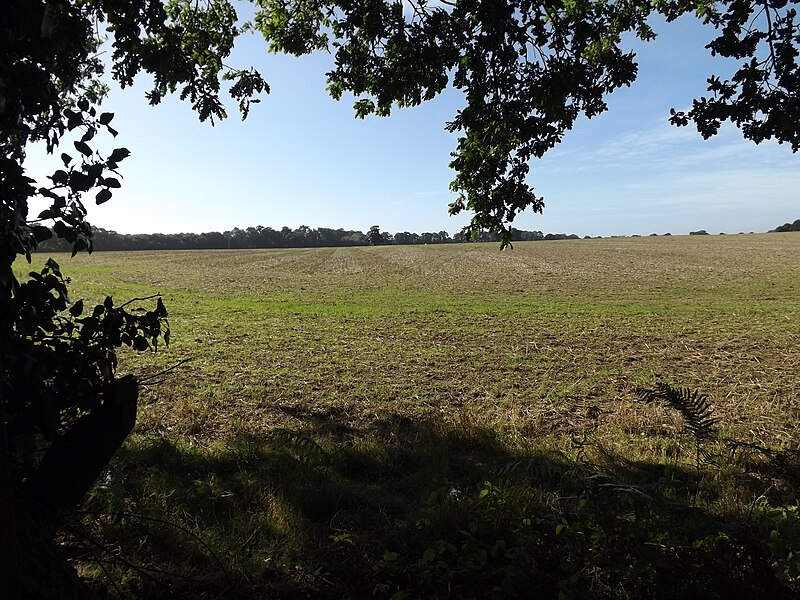 File:Farmland off Old Lane - geograph.org.uk - 5171460.jpg