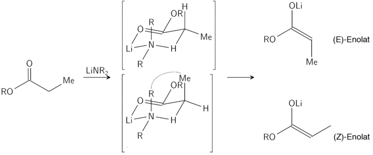 Die stereoselektive Bildung von Enolaten nach dem Ireland-Modell.