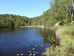 Plogfoten Vastergotland Sweden SE part 20June2023.jpg