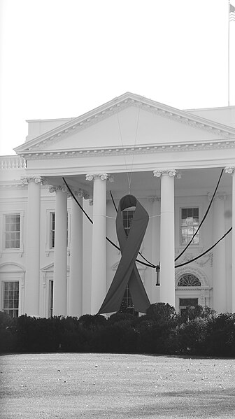 File:Red Ribbon on the White House 17785 (8234975939).jpg