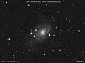 Supernova 2004dj in NGC 2403