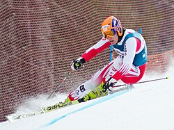 Otmar Striedinger FIS Giant Slalom Hinterstoder 2010.jpg