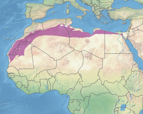 Description de l'image Ecoregion PA1321.svg.