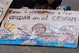 La Marcha Más Grande de Chile (Chilean Protests 2019 Puerto Montt) 13.jpg