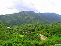 Pemandangan alam yang indah di Santa Irene, Bayugan