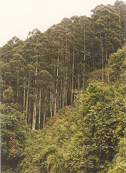 Skyline of ചാമരാജനഗർ ജില്ല