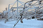 Thumbnail for File:Freezing rain (glaze) damage at Postojna train station.jpg