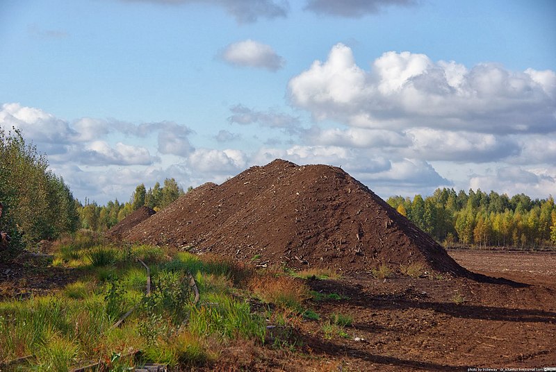 File:Gus-Khrustalny District, Vladimir Oblast, Russia - panoramio (140).jpg