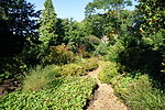 Vorschaubild für Botanischer Garten Duissern